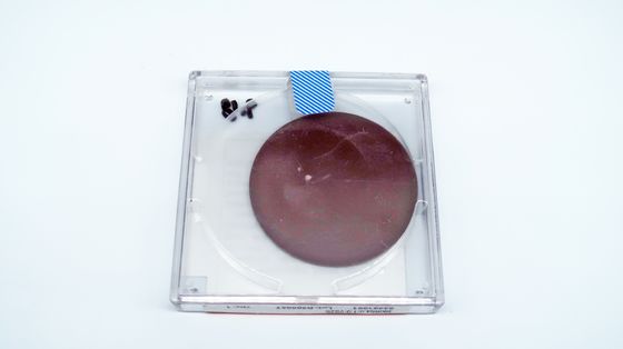 54mm Polycrystalline Cubic Boron Nitride PCBN Disc For Nodular Cast Iron
